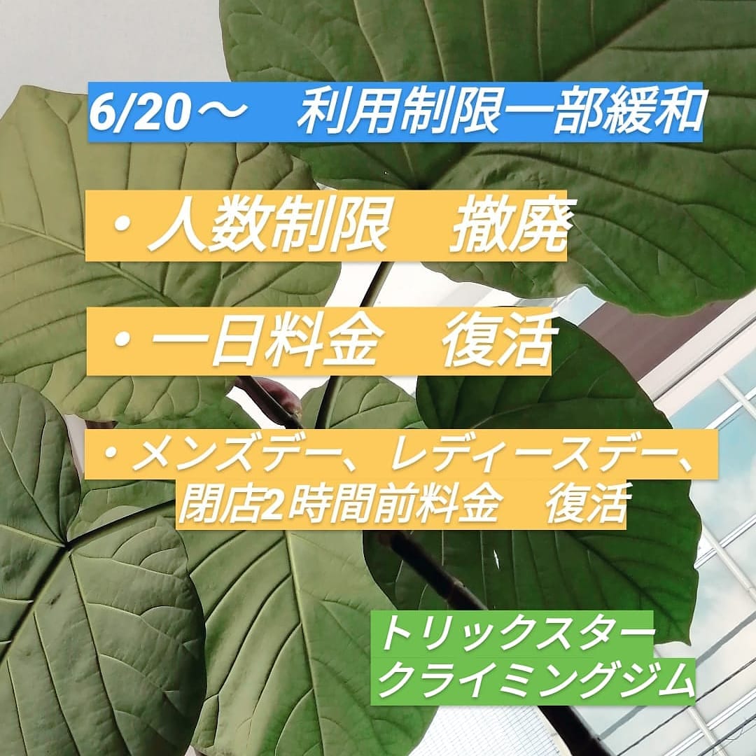 IMG_20200620_120411_956